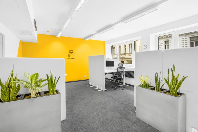 Office at Wohllebengasse 12-14
