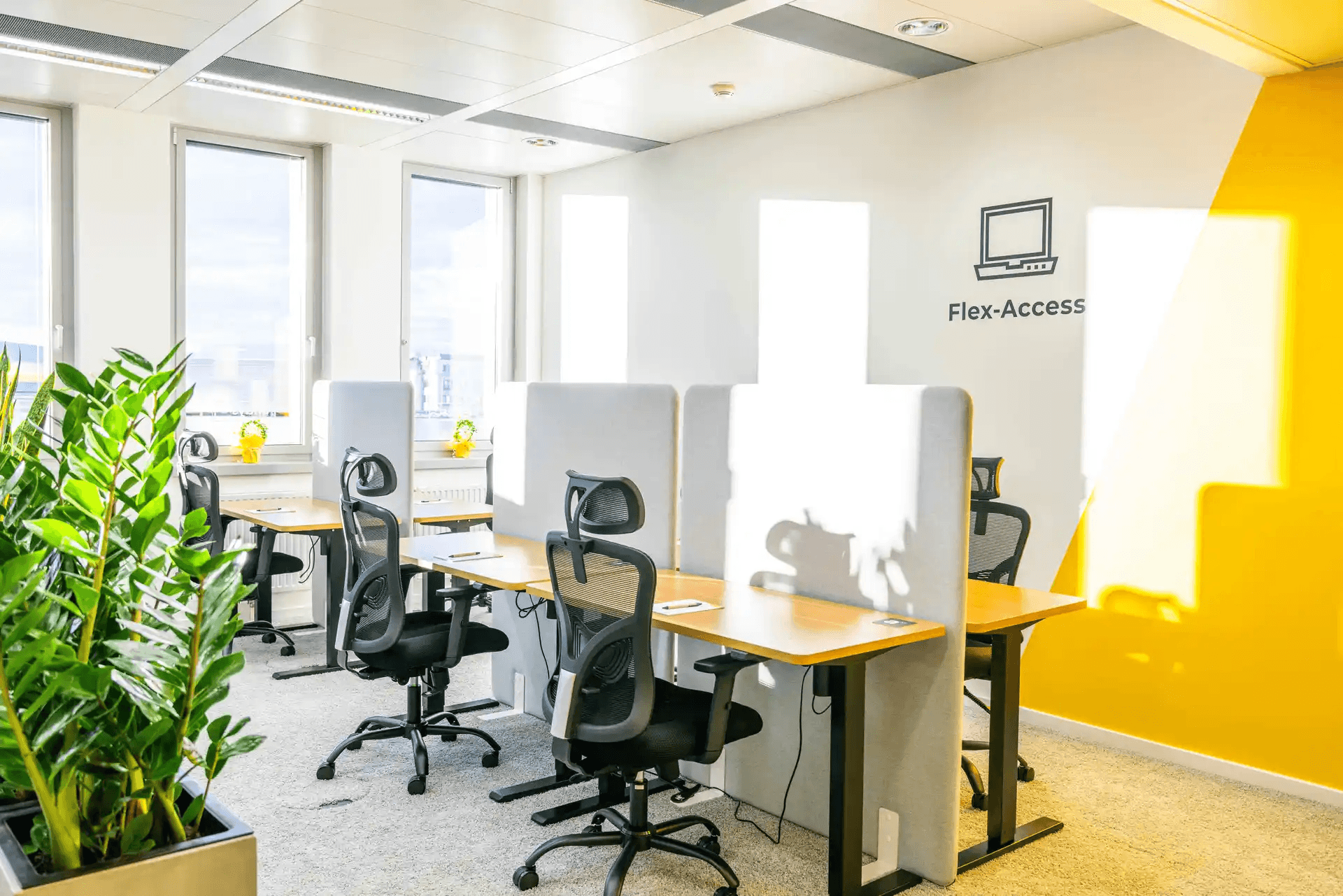 office at Coworking "Euro Plaza"